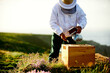 Frames of a bee hive. Beekeeper harvesting honey. The bee smoker is used. Beekeeper checking his bees in bee-house. 