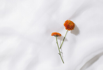 Top view of voile fabric background with two orange flowers and space for text.