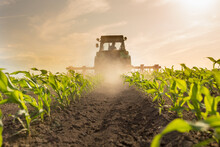 Tractor Harrowing Corn Field