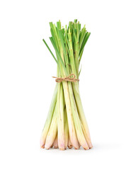 Wall Mural - bundle of  Fresh lemongrass isolated on white background.