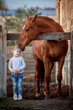 Tender relationship of a little girl and a big beautiful horse