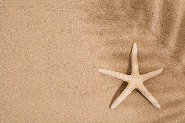 Wall Mural - Natural dry star fish on sand with copy space. Flat lay. Top view. Summer time vacation background