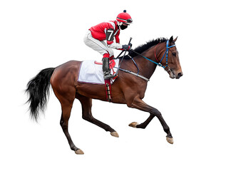 Wall Mural - horse racing jockey isolated on white background