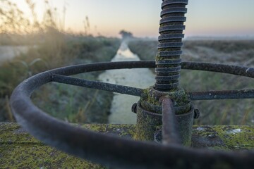 Wall Mural - Closeup shot of a rusty industrial pipe valve covered with moss