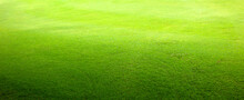 Grass Background Golf Courses Green Lawn