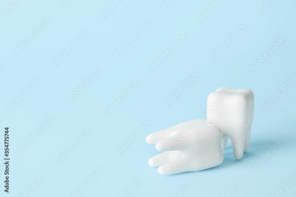 Model of teeth on color background