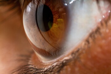 Sticker - Macro of a beautiful mesmerizing brown human eye iris