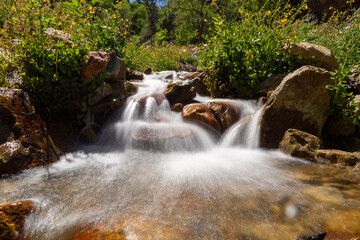 flowing Waterfall in a creek