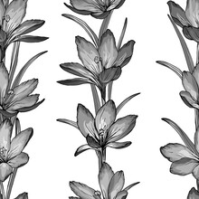 Monochrome Floral Seamless Pattern With Grey Flowers Crocus And Leaves On White Background. Hand Drawn. For The Design Textiles, Clothing, Prints, Wrapping Paper, Wallpaper. Vector Stock Illustration.