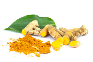 Wall Mural - fresh turmeric root and turmeric powder in spoon on white background