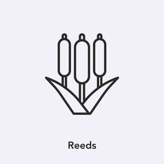 Poster - reed icon vector sign symbol