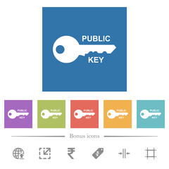 Poster - Public key flat white icons in square backgrounds