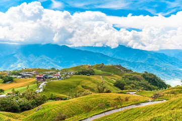 Wall Mural - Daylily flower farm at Liushidan Mountain in Hualien, Taiwan