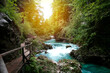 Beautiful view of mountain river, sun light through the trees, traveling in Slovenia, Vintgar. Hiking in Europe.