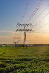 Electricity pylons on a field with sunset