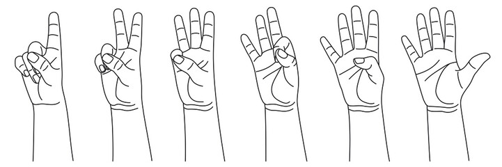 Wall Mural - numbers from one to five, hand gestures. concept of finger counting in sign language. vector illustr