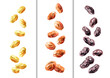 Falling various sweet raisins set. Hand drawn watercolor illustration isolated on white background