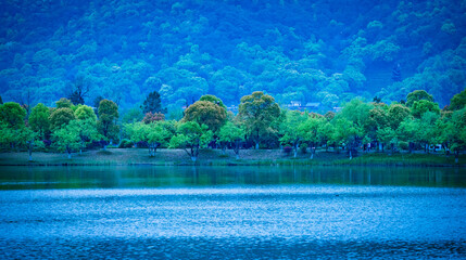 Poster - Landscape photos taken by the lake