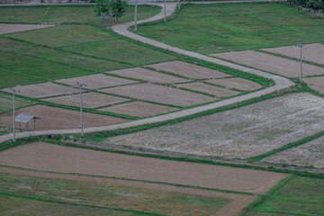 Wall Mural - Rice fields in the mountains around the period before the rainy season in northern Thailand.