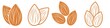 Almond icon set. Nut vector illustration isolated  on white background. 