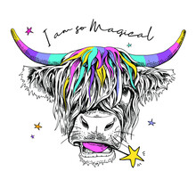 Cute Cow (Hairy Coo) With A Rainbow Long Hair, Unicorn Horns And In A Headphone. I Am So Magical - Lettering Quote. Humor Card, T-shirt Composition, Hand Drawn Style Print. Vector Illustration.