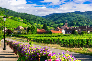 Wall Mural - Beautiful countryside of Alsace region- famous 