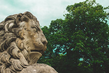Lion Statue In The Park