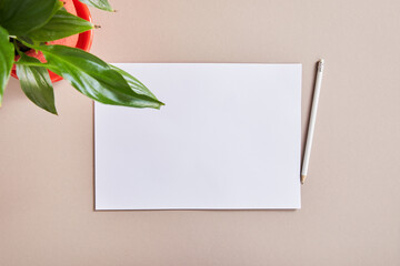 Poster - top view of green plant near blank white paper with pencil on beige surface