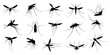 Mosquito silhouette. Flying mosquitoes, swarm insects spreading diseases, dangerous infection and viruses, malaria and dengue. Vector gnats black silhouette, mosquito insect bloodsucking illustration