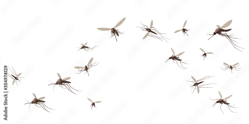 Flying mosquito insects. Gnat and pest, spreading viruses and diseases, gnats flock, repellent or spray promo poster vector concept. Malaria mosquito buzzing, infectious parasitic spreading - obrazy, fototapety, plakaty 