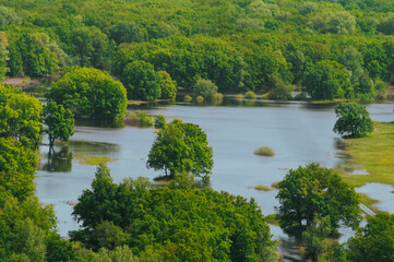 Naklejka na meble Flooding Fields and Flooded Forest