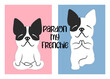 French bulldog doing yoga. French dog hand drawn with text “pardon my frenchie”. Vector illustration art on pink and blue pastel background.
