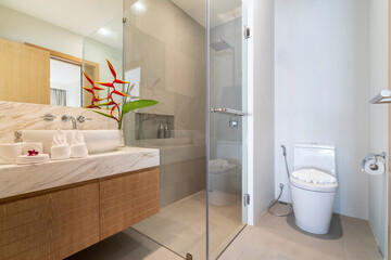 Wall Mural - Interior design of bathroom in luxury villa feature double basin, sink, toilet, mirrir and temper glass door