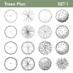 Wall Mural - Tree top, tree plan - free hand drawn doodle top view trees for landscape  plan. Can change the stroke line