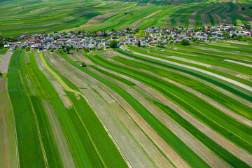 Wall Mural - Poland from above. Aerial view of green agricultural fields and village. Landscape with fields of Poland. Typical polish landscape.