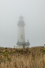 Wall Mural - Vertical Image -Yaquina Head Lighthouse on a foggy day