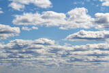 Fototapeta Niebo - White fluffy clouds on a background of blue sky in summer. The concept of weather and climate.