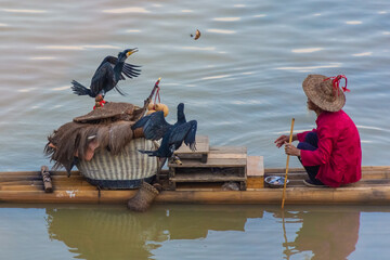 YANGSHUO, CHINA, 6 DECEMBER 2019: Cormorant fisherman on the Li River in Yangshuo