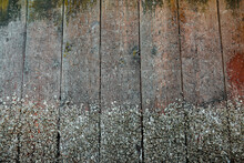 Old Wooden Wall With Barnacles