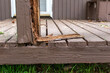 canvas print picture - Old rotten deck rail that is falling apart, dangerous and needs repaired or replaced.