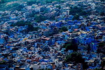 Wall Mural - Blue city of Jodhpur