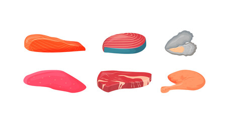 Poster - Raw meat and fish cartoon vector illustrations set