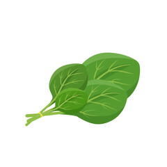 Poster - Spinach leaves cartoon vector illustration