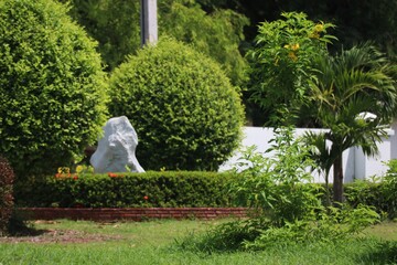 Poster - garden in the park