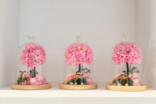 Fresh Flowers Under A Glass Cover On A Stand On A Wooden Stand. Floral Decoration Of A Festive Wedding Table.
