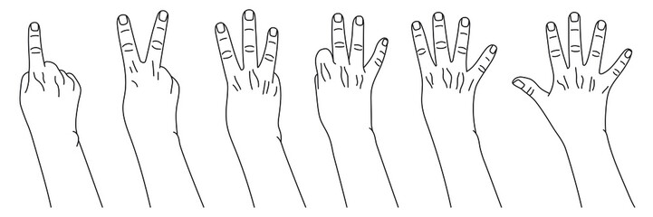 Wall Mural - numbers from one to five, hand gestures. concept of finger counting in sign language. vector illustr