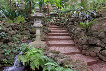 Stairway To Heaven In A Japanese Garden 