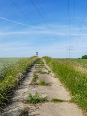 Poster - Strommast im Feld