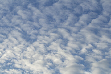 deep blue sky and white cloud background.altocumulus clouds.