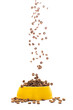 Dried dog food falls into the yellow plastic bowl on white background. grain pet food banner background.